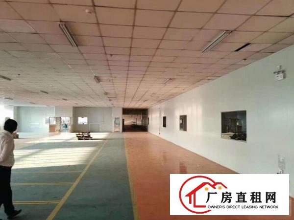  沙田花园式带voc塑胶环评厂房出租