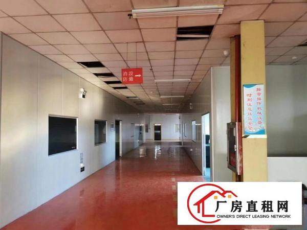  沙田镇花园式钢构厂房，仓库出租可分租