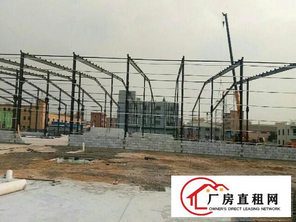  沙田重工业独院钢构全新厂房