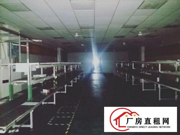 沙田镇新出独院标准电镀厂房出租，证件齐全。