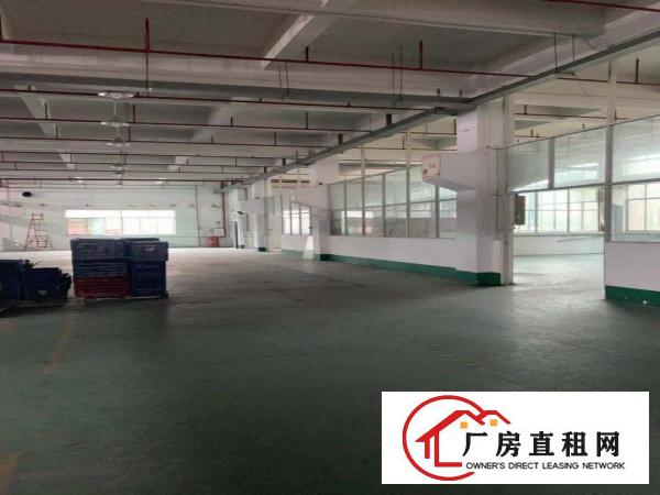  沙田镇原房东独院标准厂房出租，现成环评证。