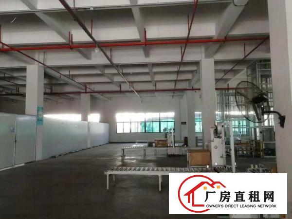  沙田镇原房东独院标准厂房出租，现成环评证。