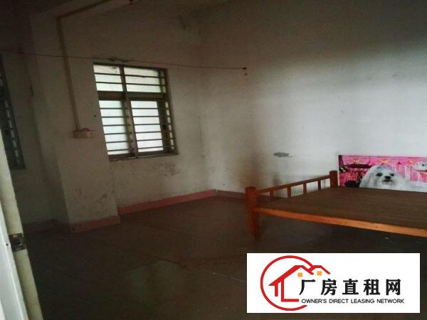  沙田厂房出租价格实惠。个人房租，房东好，交通方便大马路