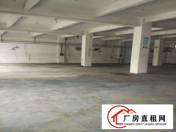  东莞大量甲类危险品溶剂化工厂房和仓库出租