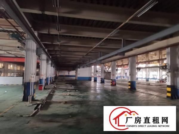  沙田镇新出原房东注塑厂招租招租面积3.5万平方，厂房工业用地