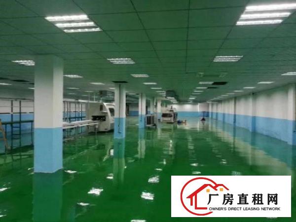  沙田工区花园式厂房分租三楼2050平方带千级无尘车间及办公