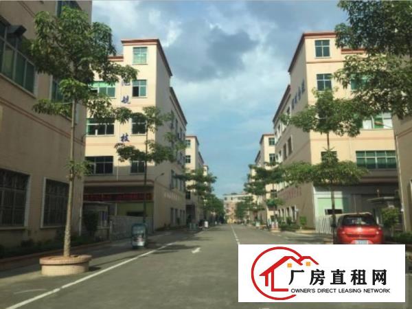  沙田镇工业园出租一楼560平厂房水电到位食宿配套齐全