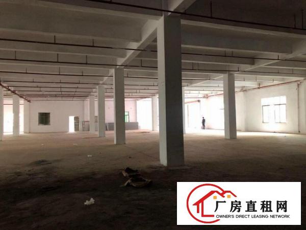  沙田精品独门独院9600平可分租带2台3T货梯拖头好进出
