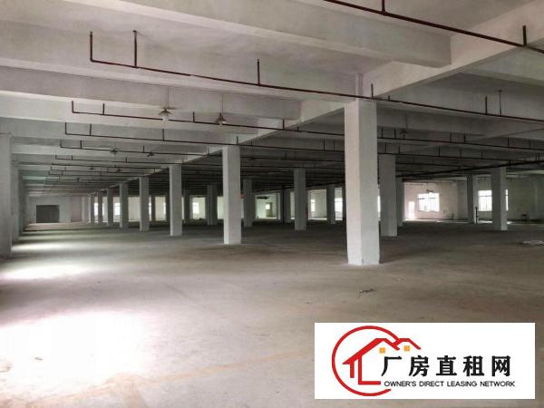  沙田精品独门独院9600平可分租带2台3T货梯拖头好进出