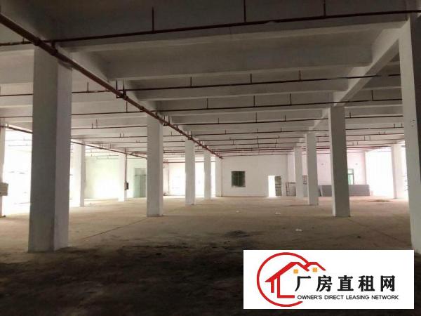  沙田精品独门独院9600平可分租带2台3T货梯拖头好进出