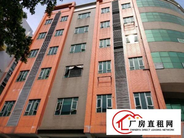  厚街镇下汴村综合楼出租