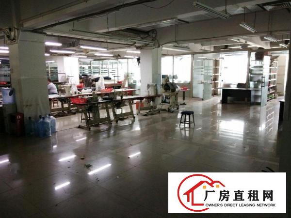  厚街镇下汴村综合楼出租