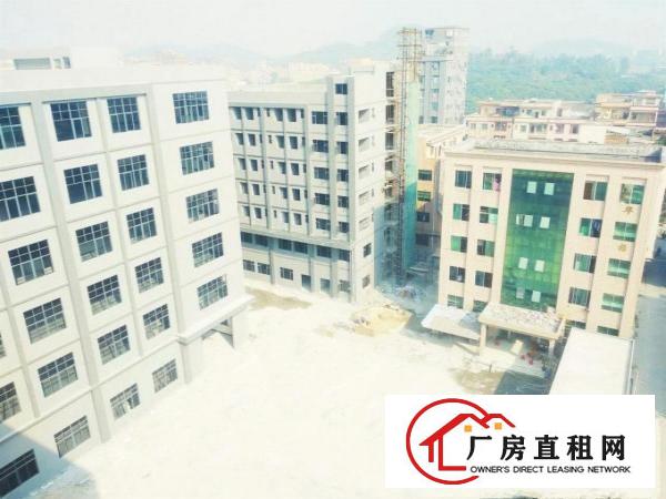  出租厚街汀山同正智慧工业园全新厂房7万平可做学校国有证原房东