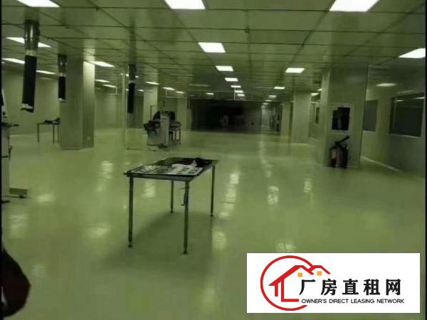  口罩万级无尘车间现成无尘车间厂房