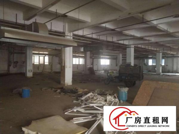  出租厚街镇带环评家具厂房