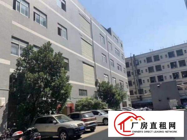  桥头标准一楼厂房460平出租，干净整洁水电到位