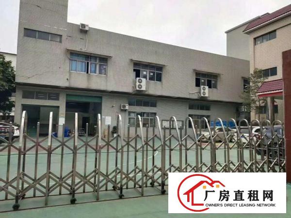  厚街精品独门独院厂房3500平方，精装修，带环评，仅租16元