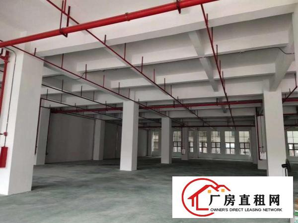  出租厚街镇全新电梯厂房