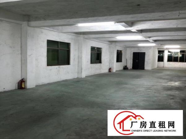  东莞厚街带大电梯仓库、小厂房、电商公司招租