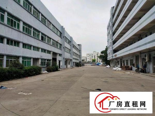  原房东九成新独门独院厂出租