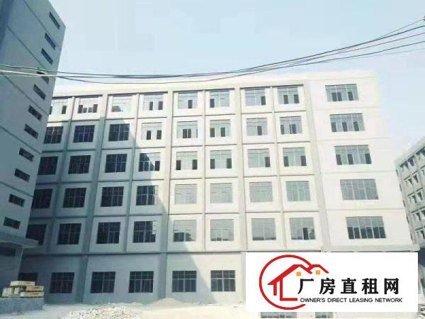  厚街新建独门独院国有证工业园出租