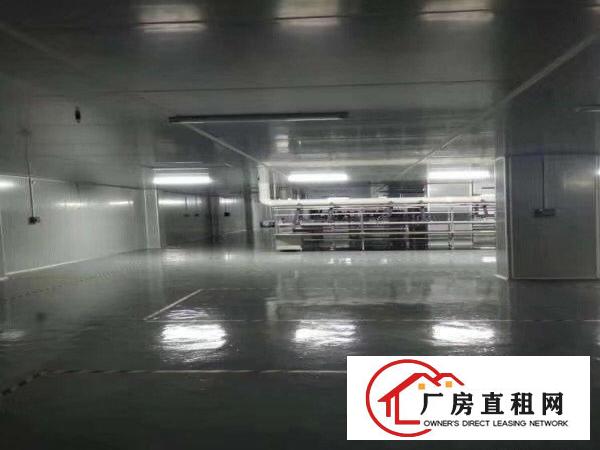  标准厂房二楼三楼四楼