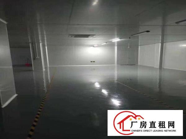  标准厂房二楼三楼四楼