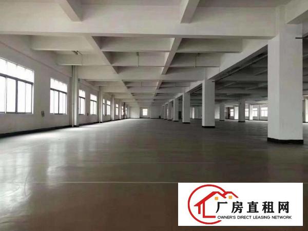  九成新厂房出租独立办公楼