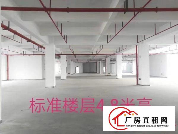  厂房出租，1到16层，每层面积2500可分租。