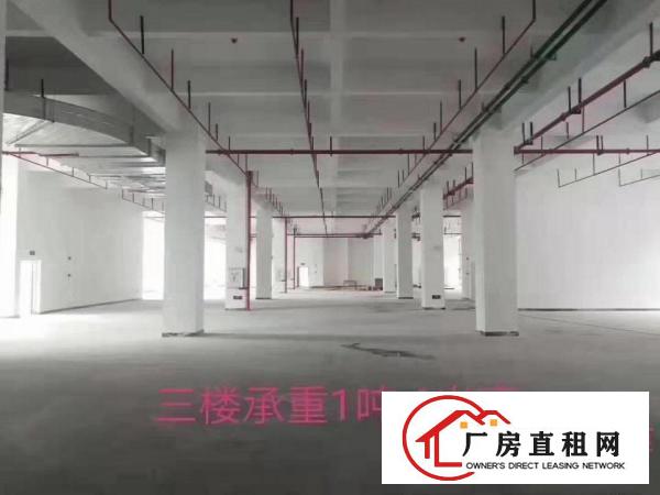  厂房出租，1到16层，每层面积2500可分租。