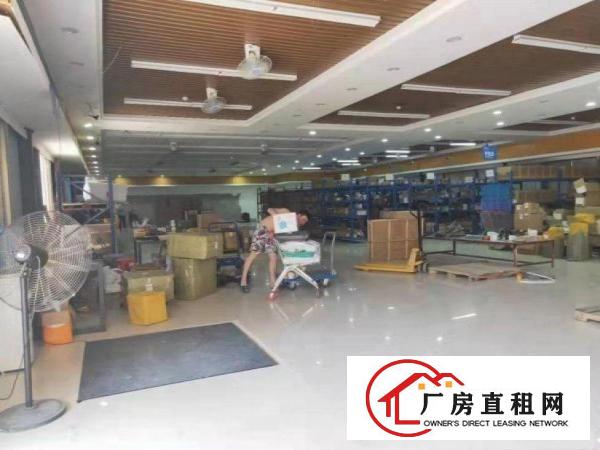  沙塘一楼600平实际面积招租豪华装修水电办公室齐全