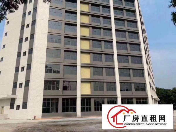  出租沙田镇沙田城区的厂房有各种各样的欢迎看房