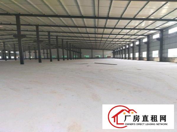  全新单一层钢构厂房出租