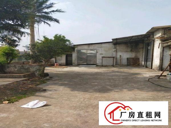  原房东独院单一层厂房出租