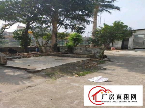  原房东独院单一层厂房出租