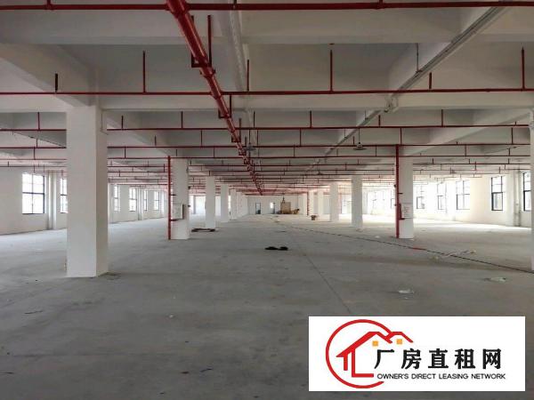  大泥全新厂房招租500－10000平