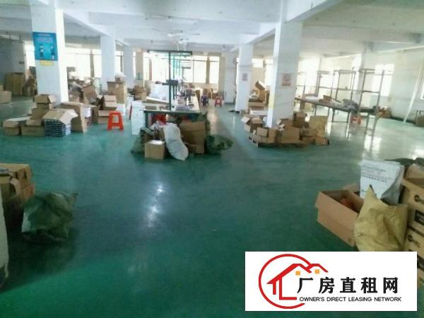  個人精裝廠房整租或分租