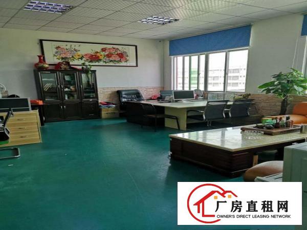  沙田550平标准厂房出租分租，无中介费，可做仓库