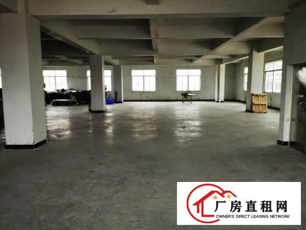  沙田550平标准厂房出租分租，无中介费，可做仓库