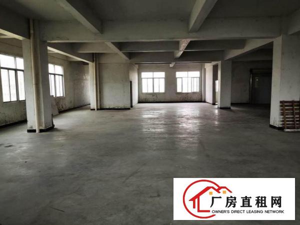 沙田550平标准厂房出租分租，无中介费，可做仓库