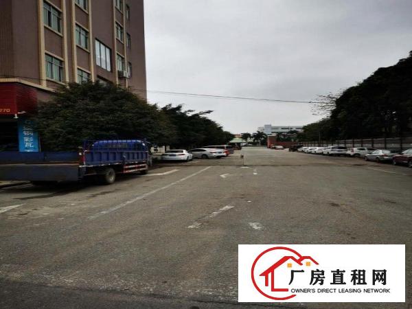  沙田550平标准厂房出租分租，无中介费，可做仓库