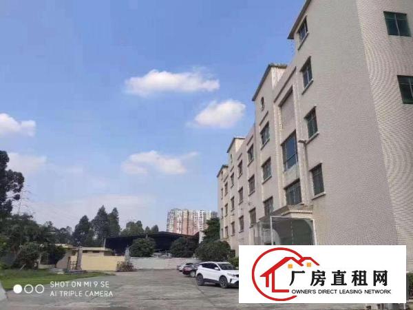  沙田镇齐沙村标准厂房二楼