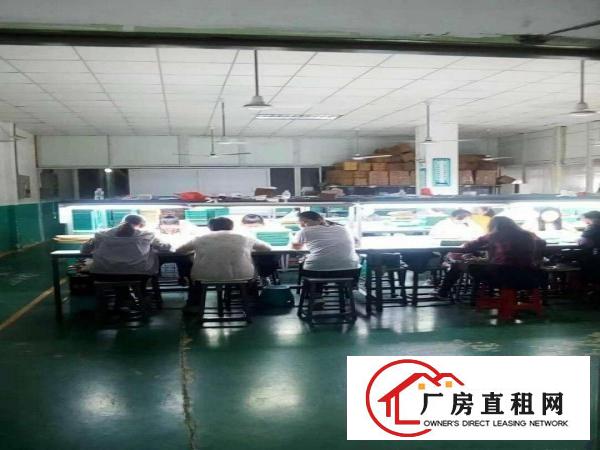  东莞沙田大型环保工业园电镀厂大小分租证照齐全大小分租