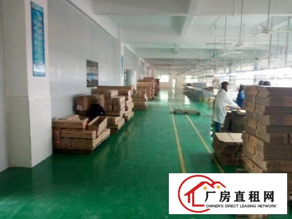  原房东独院标准厂房三层3900平方现成水电装修千级无尘车间