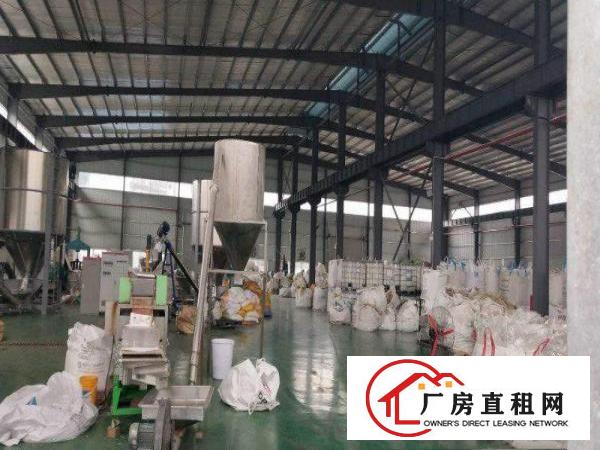  原房东单一层钢构1500平米花园式厂房电大工业用地零公摊