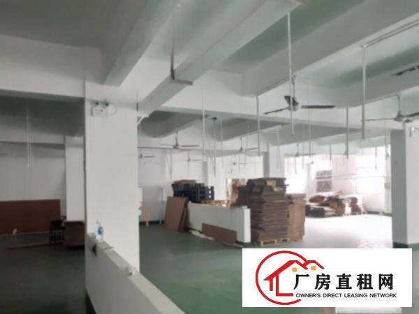  沙田镇工业区出租二楼600平厂房有办公室形象好可分租