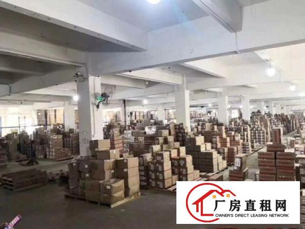  沙田工业园原房东出租一楼800平厂房可办环评可分租