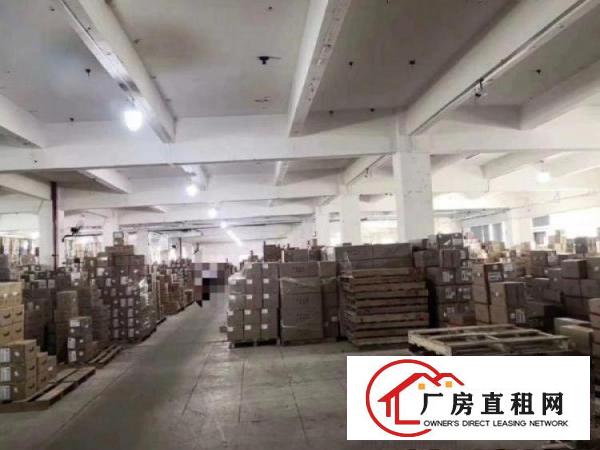  沙田工业园原房东出租一楼800平厂房可办环评可分租