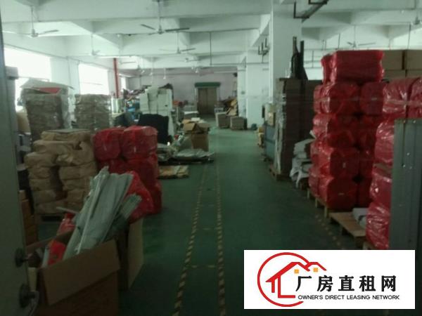 沙田镇工业区出租二楼带精装修800平厂房可分租