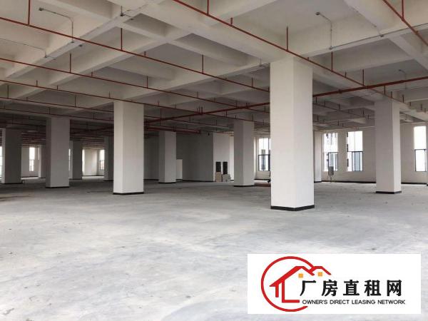  (全新厂房)原房东智能产业园厂房多户型出租